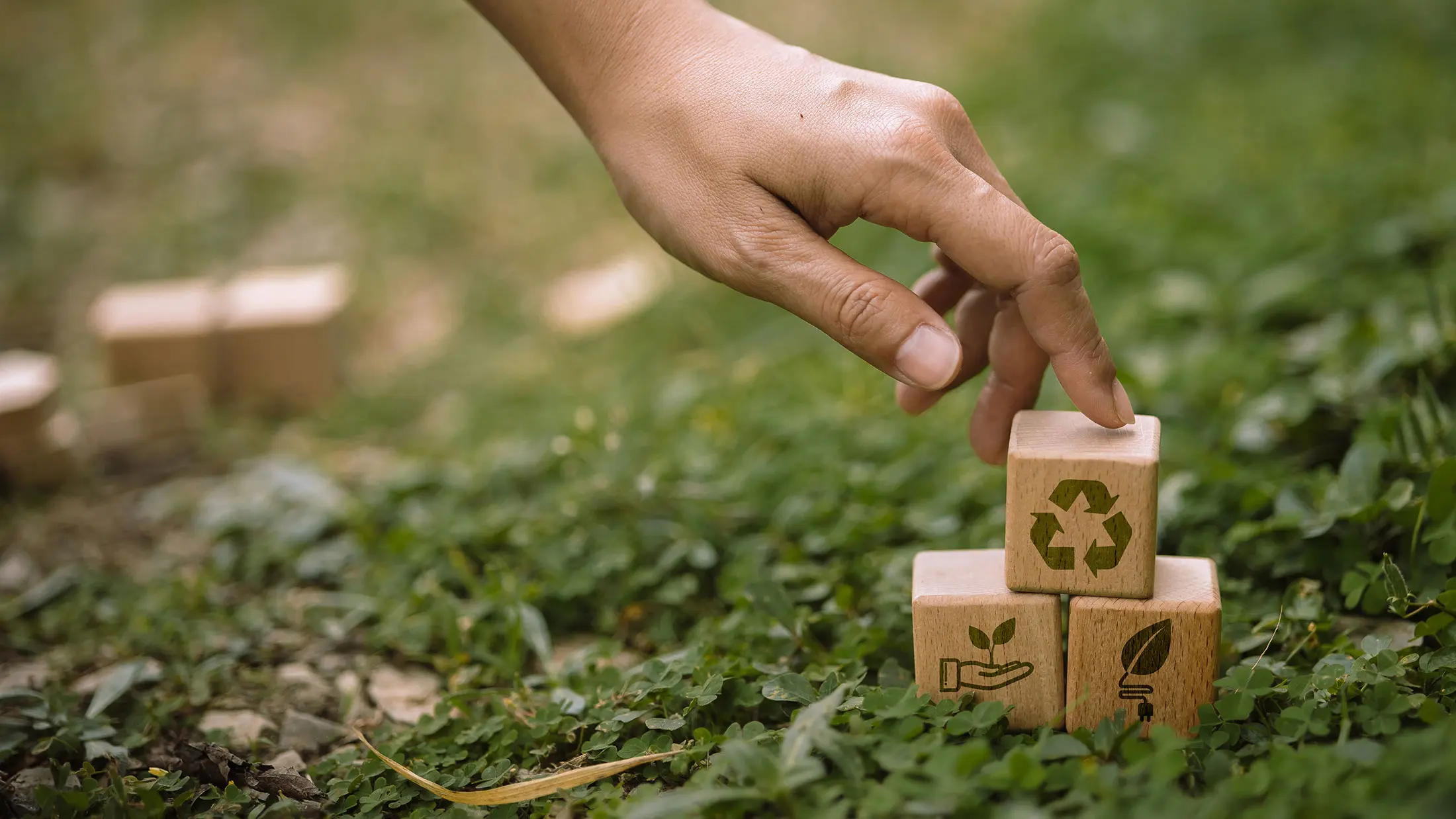 Een hand plaatst houten blokken met recyclingsymbolen op groen gras, wat milieubewustzijn en duurzaamheid benadrukt die SustainQ nastreeft.